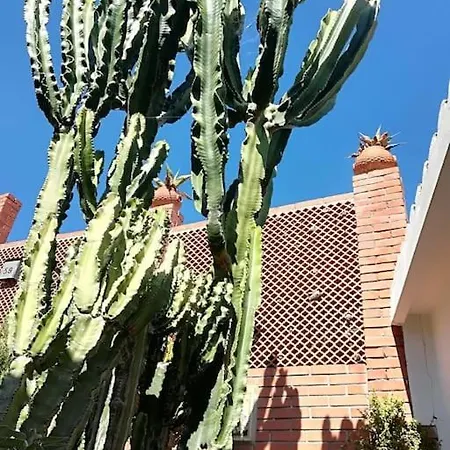 Holiday home Villino Elda Diano Marina